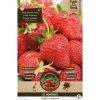 5 aardbei honeyo