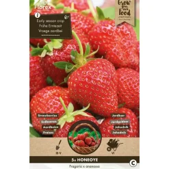 5 aardbei honeyo