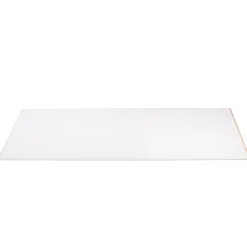 Agnes wand-en plafondplaat vochtwerend T&G 4-z wit stuc 60x120cm 12mm