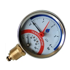 AIM 80mm 0-120C 0-10 BAR thermo drukmeter zijdelings G1/2