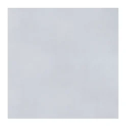 ALBERTS Gladde Plaat - Verzinkt Staal - Gegalvaniseerd - 600x1000x0,75mm