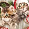 Ambiente Kerst Thema Servetten - 20x- 33 Cm - Poezen/katten Print