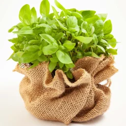Aquagart Jute Stof 10m X 1m 305g/m² Jute Mat Tuin Jute Stof Jute Lint Burlap