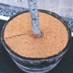 Aquagart Kokosmulchschijven 60cm 2 Stuks Kokosvezelmat Plantenbeschermingsmat