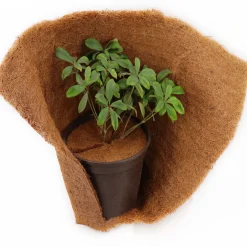 Aquagart Kokosmulchschijven 37cm 5 Stuks Kokosvezelmat Plantenbeschermingsmat