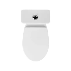 AquaVive – Praxis Eigen Merk Aquavive Cormor Duoblok toilet met randloze toiletpot - wit