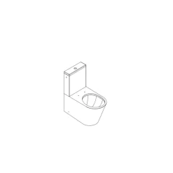 AquaVive – Praxis Eigen Merk Aquavive Duoblok toilet Esino met randloze toiletpot - wit