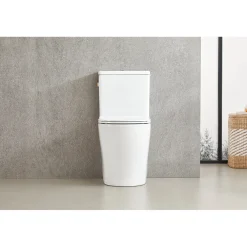 AquaVive – Praxis Eigen Merk Aquavive Duoblok toilet Esino met randloze toiletpot - wit