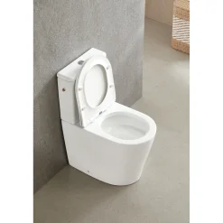 AquaVive – Praxis Eigen Merk Aquavive Duoblok toilet Esino met randloze toiletpot - wit