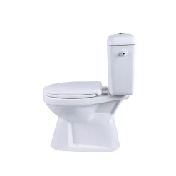 AquaVive duoblok toilet Ippari I AO aansluiting I Soft-close toiletzitting wit