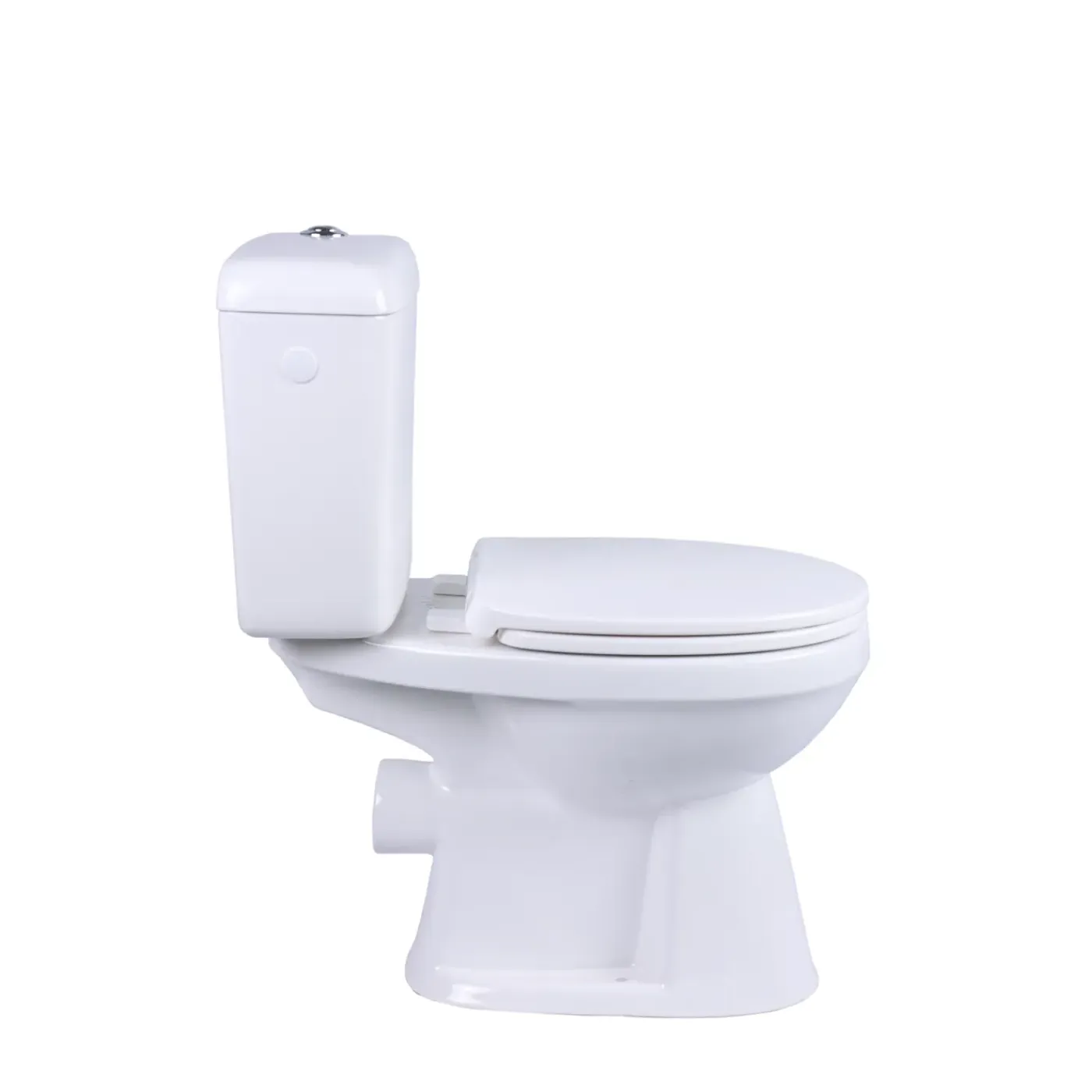 AquaVive – Praxis Eigen Merk Aquavive Ippari Duoblok toilet met softclose toiletzitting - PK - wit