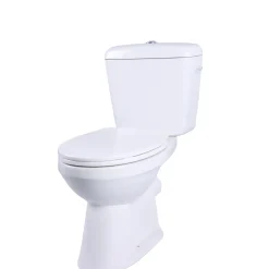 AquaVive – Praxis Eigen Merk Aquavive Ippari Duoblok toilet met softclose toiletzitting - PK - wit