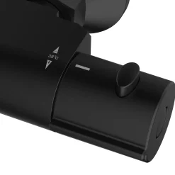 AquaVive – Praxis Eigen Merk Aquavive Thermostatische Douchekraan Irminio - Zwart - 12 cm