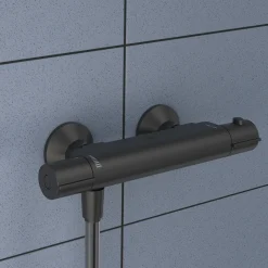 AquaVive – Praxis Eigen Merk Aquavive Thermostatische Douchekraan Irminio - Zwart - 12 cm