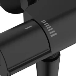 AquaVive – Praxis Eigen Merk Aquavive Thermostatische Douchekraan Irminio - Zwart - 12 cm