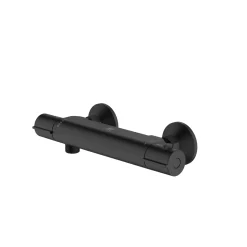 AquaVive – Praxis Eigen Merk Aquavive Thermostatische Douchekraan Irminio - Mat Zwart - 15 cm