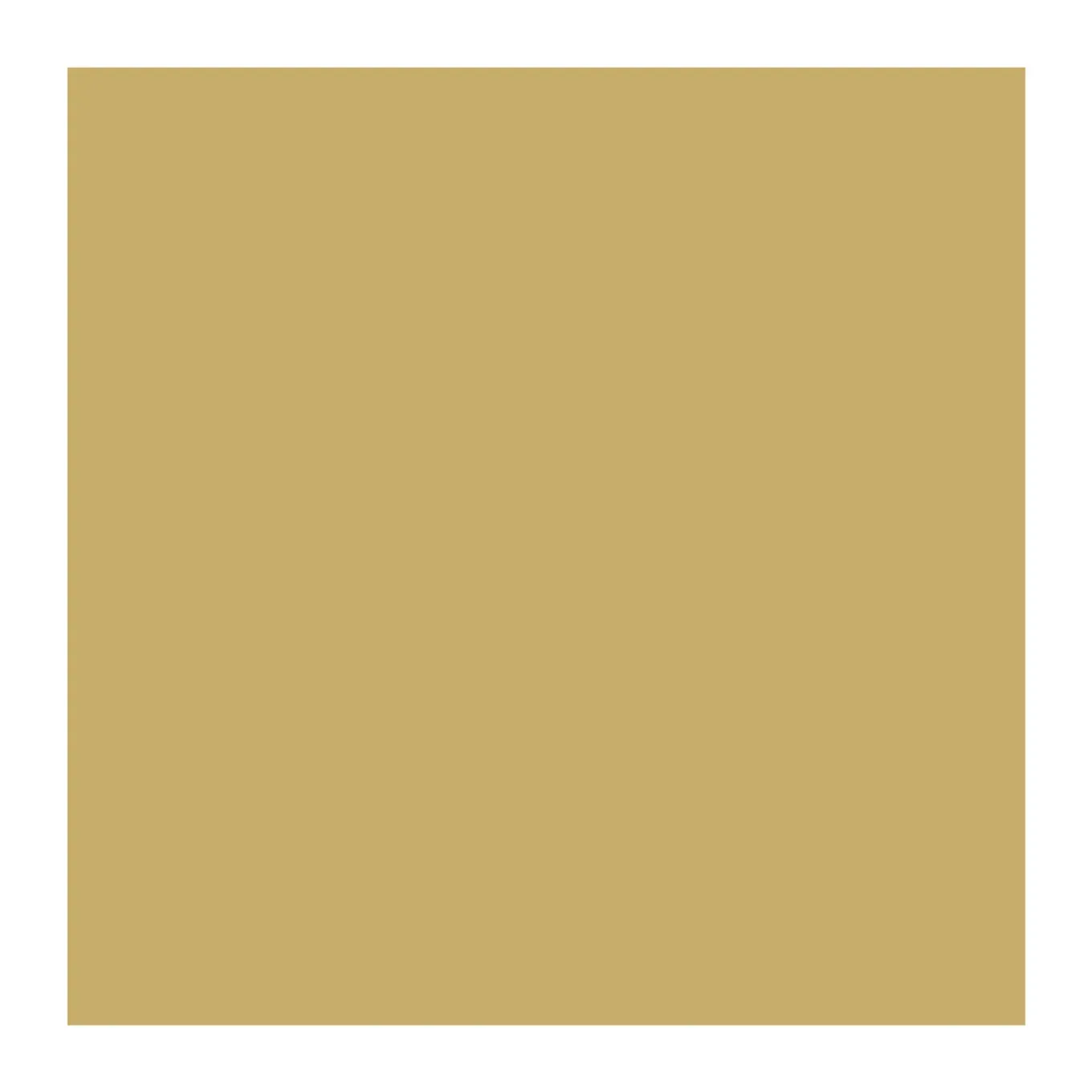 Arcane Industries - Beloopbare Afwerkingshars Arcathan Trafic Nabijbeige Dichtbij Ral 1001 - 12 Kg