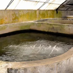 Arcane Industries - Waterdichtingspleister Voor Opzetzwembad Bruingrijs Dichtbij Ral 7013 - 20 Kg