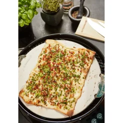 BBQ Accessoire Pizza Steen voor Type 420/480