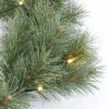 Black Box Trees Glendon Kerstslinger Met Led - L270 Cm