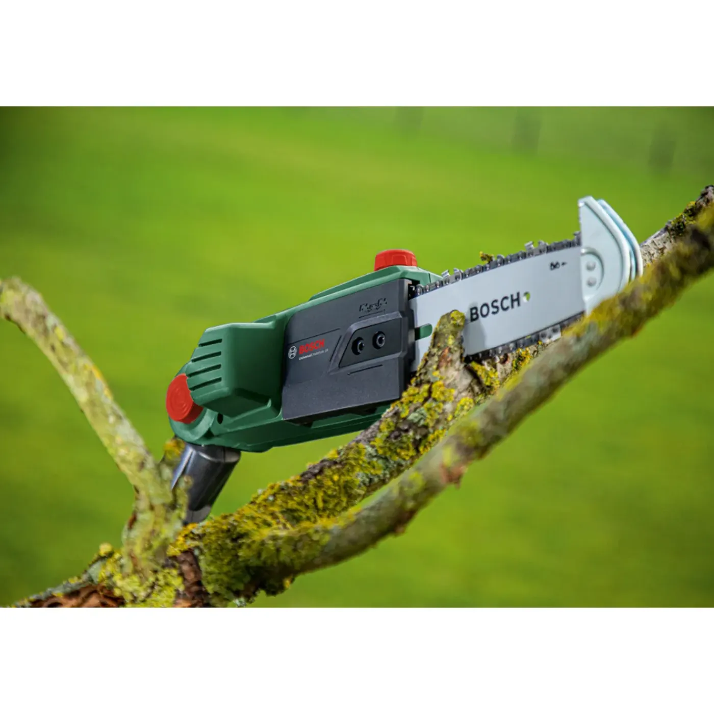 Bosch Accu Kettingzaag met Telescoopstang - 18V - (zonder accu)