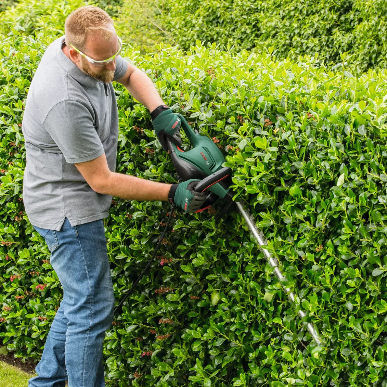 Bosch Elektrische Heggenschaar UniversalHedgeCut 50 - 480W - 50cm