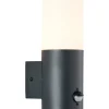 Brilliant wandlamp Aberdeen antraciet E27 met sensor
