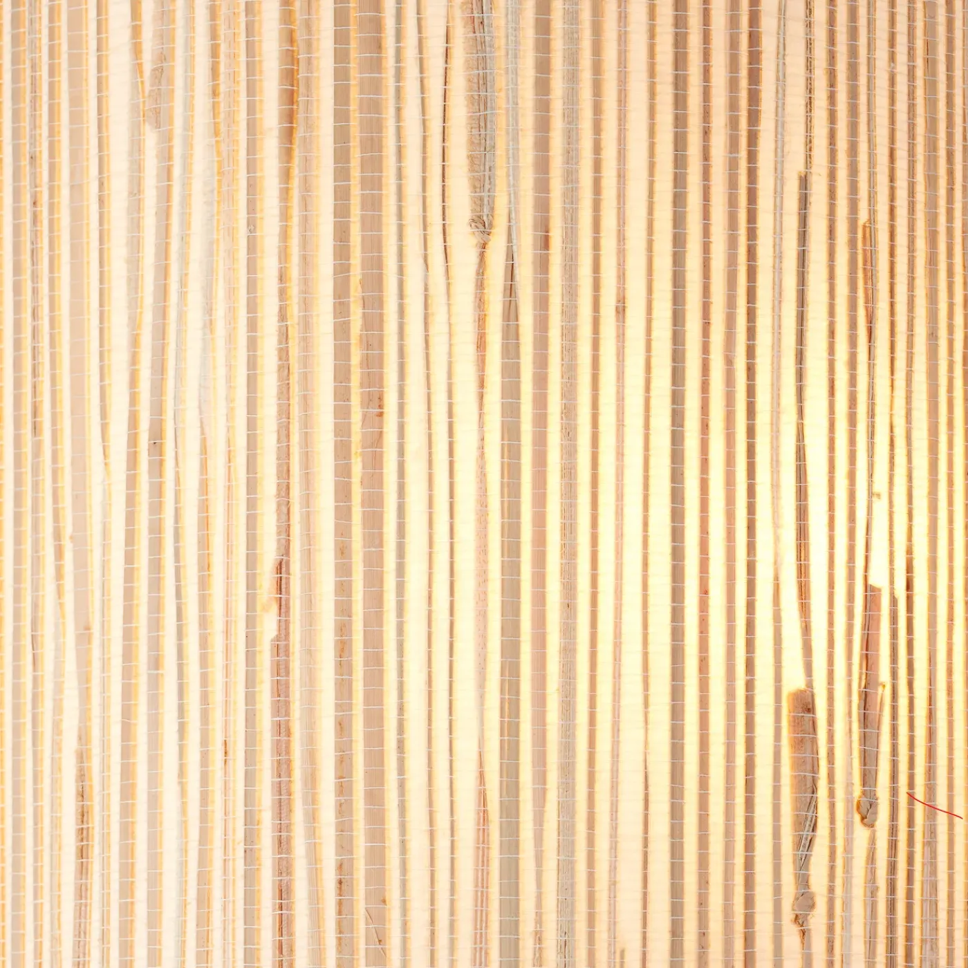 Brilliant wandlamp Wimea zeegras E27