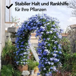 Brixy - Set Van 2 Rozenbogen - Tuinbogen - Rankhulp - Bloemenbogen - Voor Klimplanten - Metaal