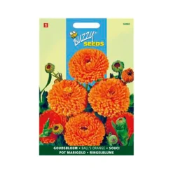 Buzzy seeds zaden goudsbloem ball’s orange
