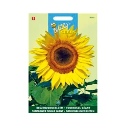 Buzzy seeds zaden reuzenzonnebloem giganteus