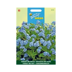 Buzzy seeds zaden vergeet-me-nietje blauw