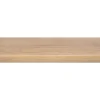 CanDo Traprenovatie Overzettrede - Licht Eiken - Laminaat - 100x30cm