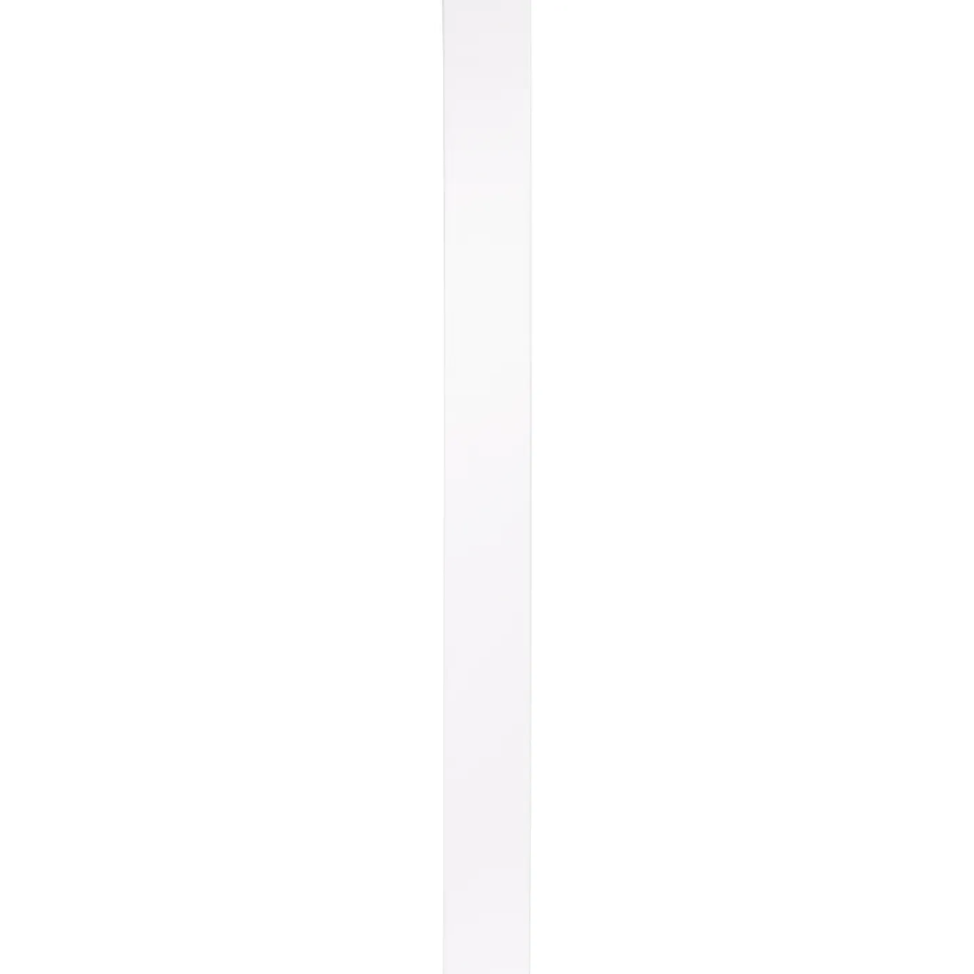 CanDo universele staander wit 10x110cm 12mm