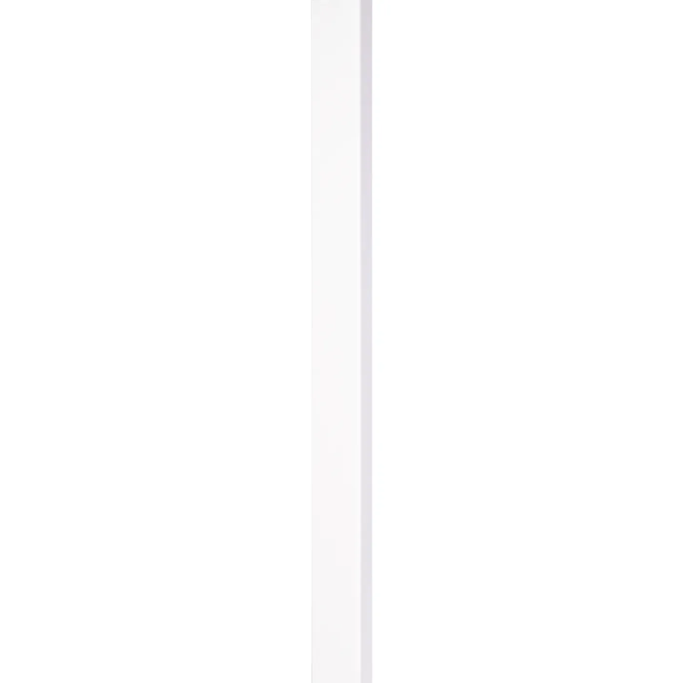 CanDo universele staander wit 10x110cm 12mm