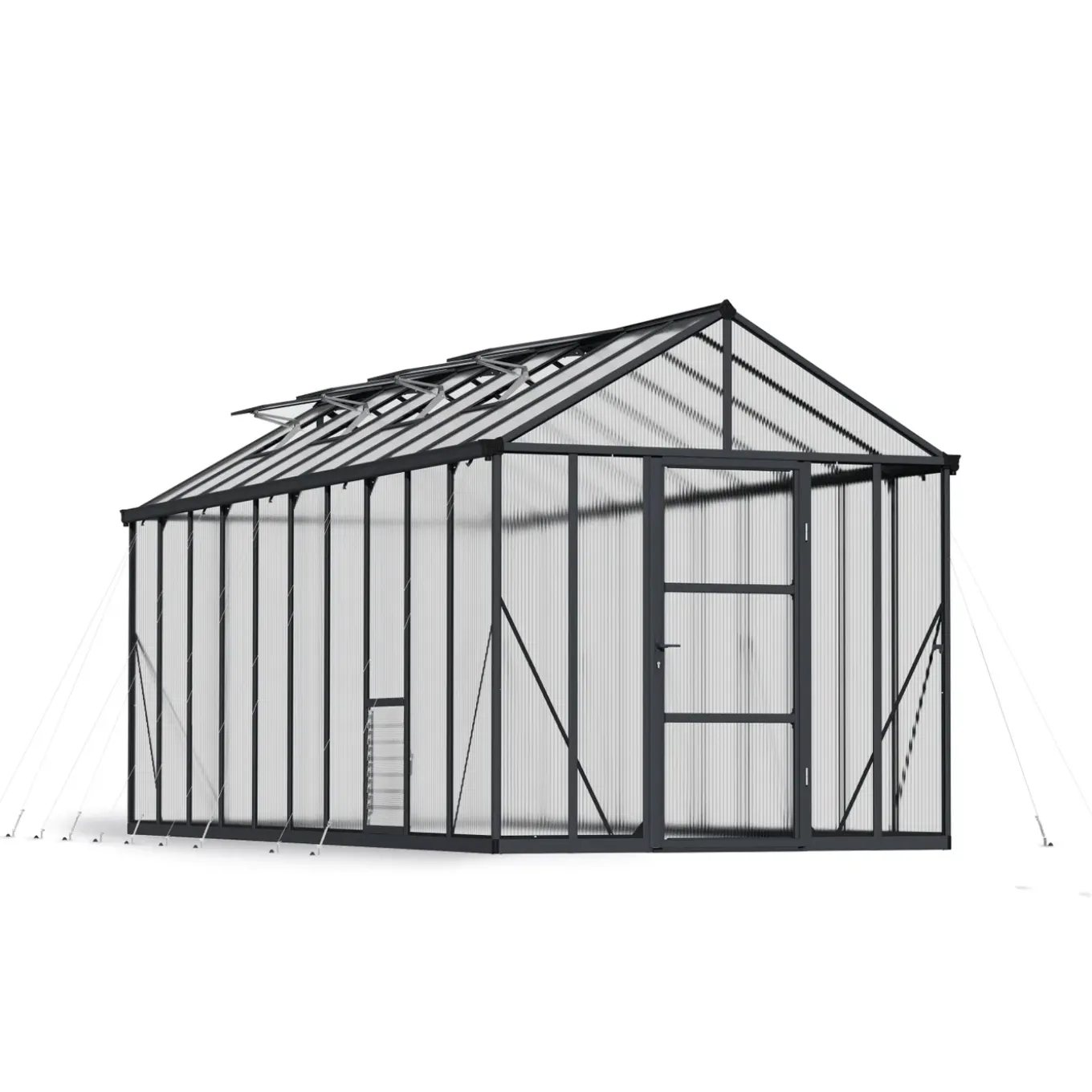 Canopia Tuinkas Glory 8x20 - Polycarbonaat 10mm - Grijs - 253x604x269 cm
