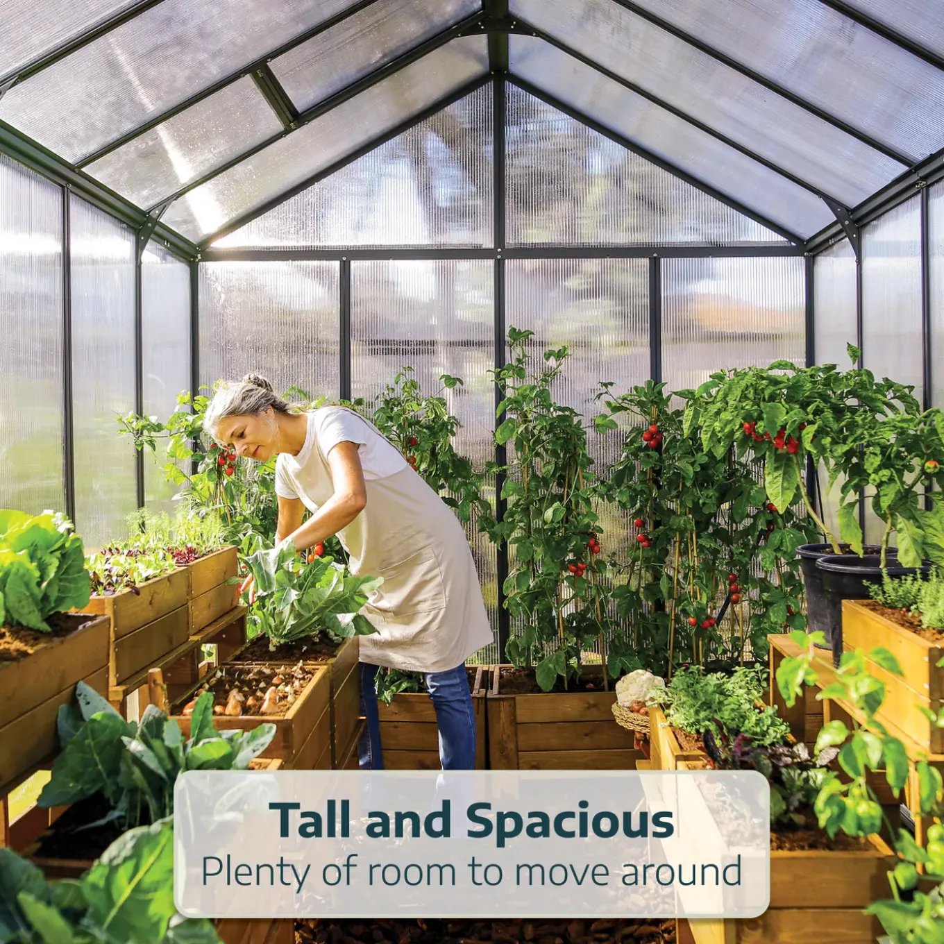 Canopia Tuinkas Glory 8x20 - Polycarbonaat 10mm - Grijs - 253x604x269 cm