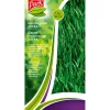 Central Park graszaad Herstelgazon Extra 50m² 1kg