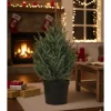 Central Park Kerstboom - Omorika - In Pot - 100-125 cm
