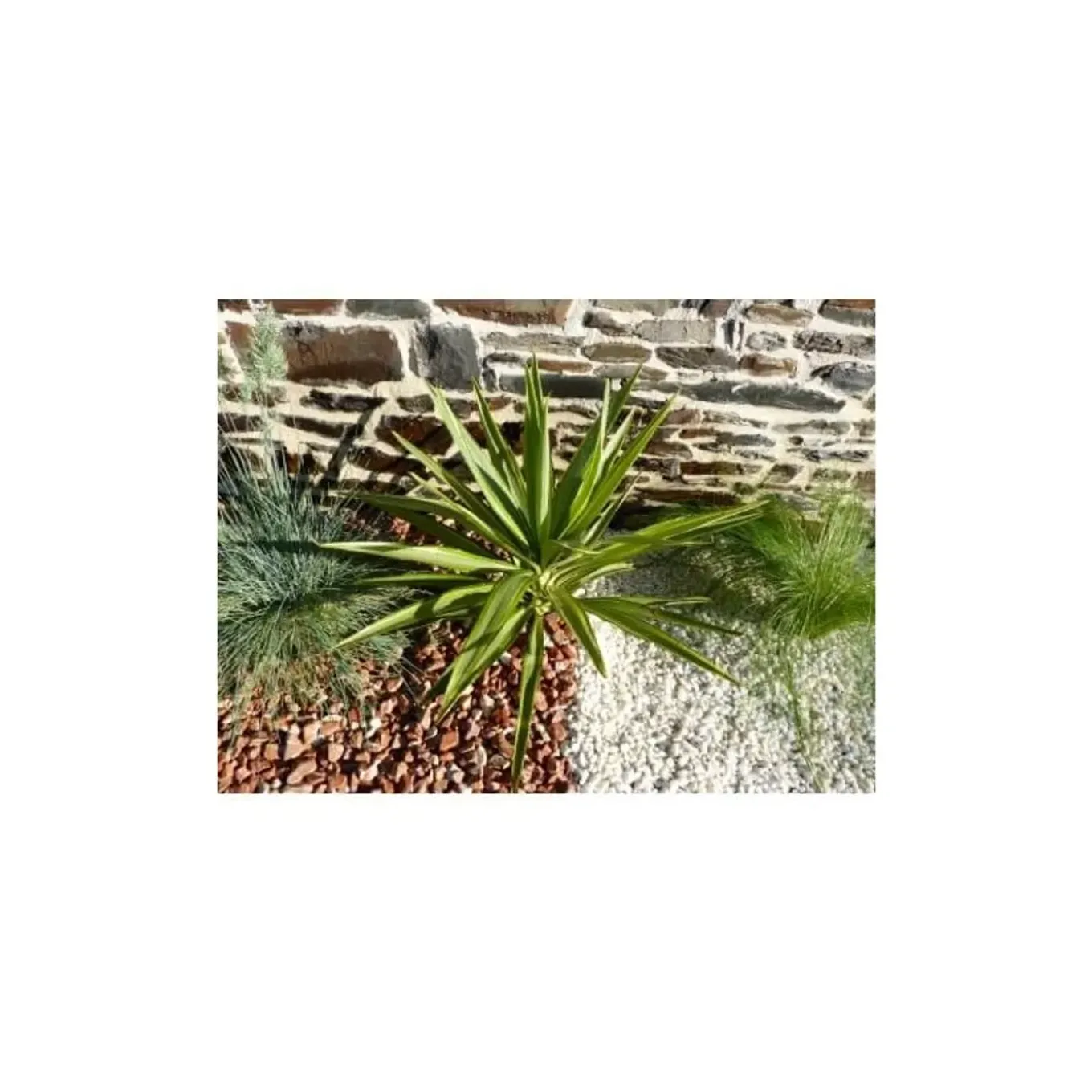Classgarden Rode Kiezel 12-24 Pak Van 25 M² - 50 Zakkens - 1000 Kg