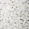 Cobo Garden Keien Carrara - Wit - Marmer - 15-25mm - 20kg