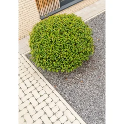 Cobo Garden Steenslag Porfier - Grijs - 6,3-14mm - 25kg