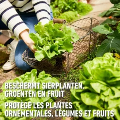 Compo Anti-Slak - 2kg voor 400m²
