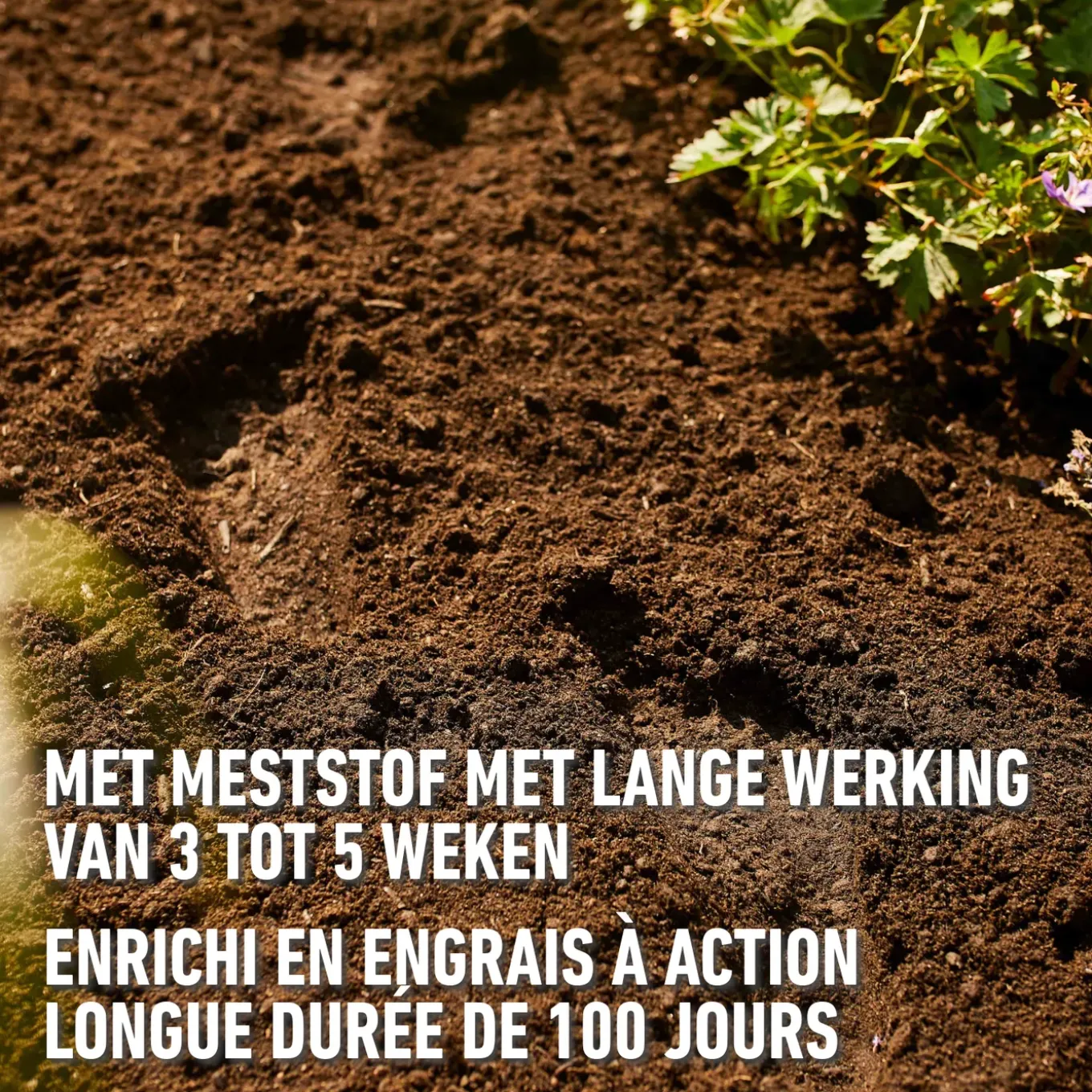Compo Bio potgrond ca. 50% Lichter 40L
