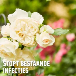 Compo Duaxo Tegen Ziekten op Sierplanten Spray - 750ml