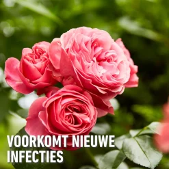 Compo Duaxo Tegen Ziekten op Sierplanten Spray - 750ml