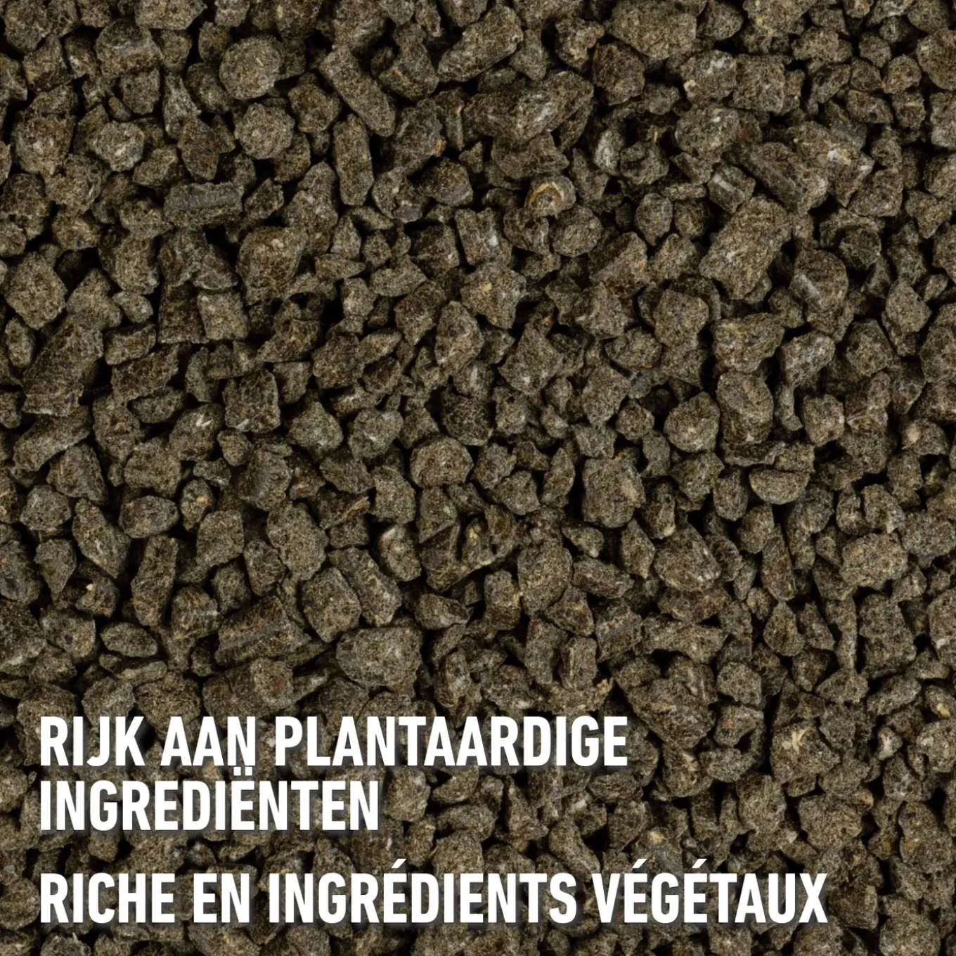 Compo gazonmeststof plus 10kg