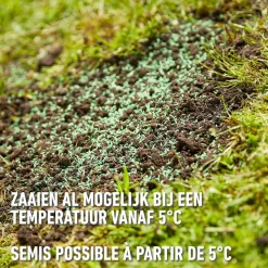 Compo gazonzaad After Moss 50m² 1kg