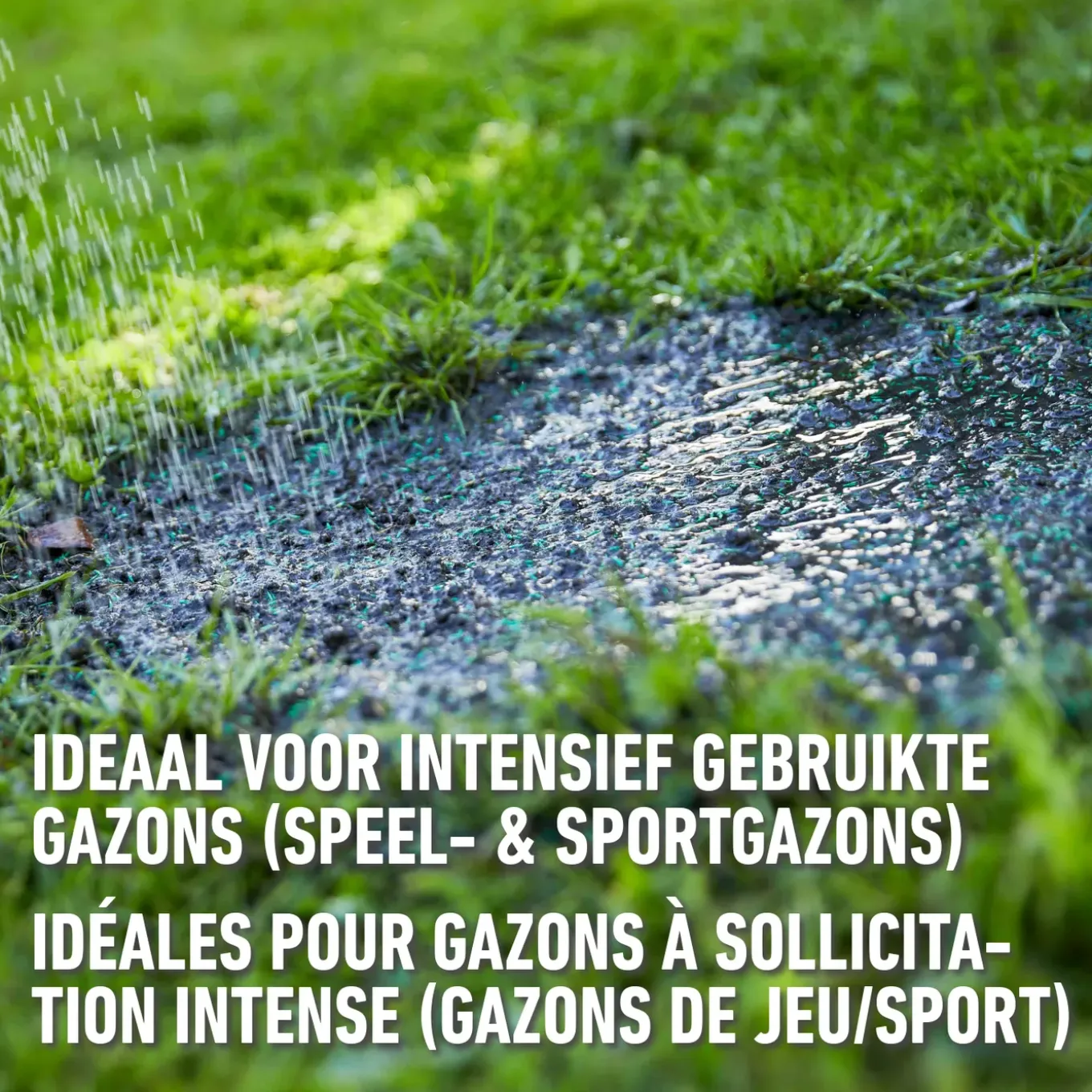 Compo gazonzaad Sport & Spel 25m² 500g