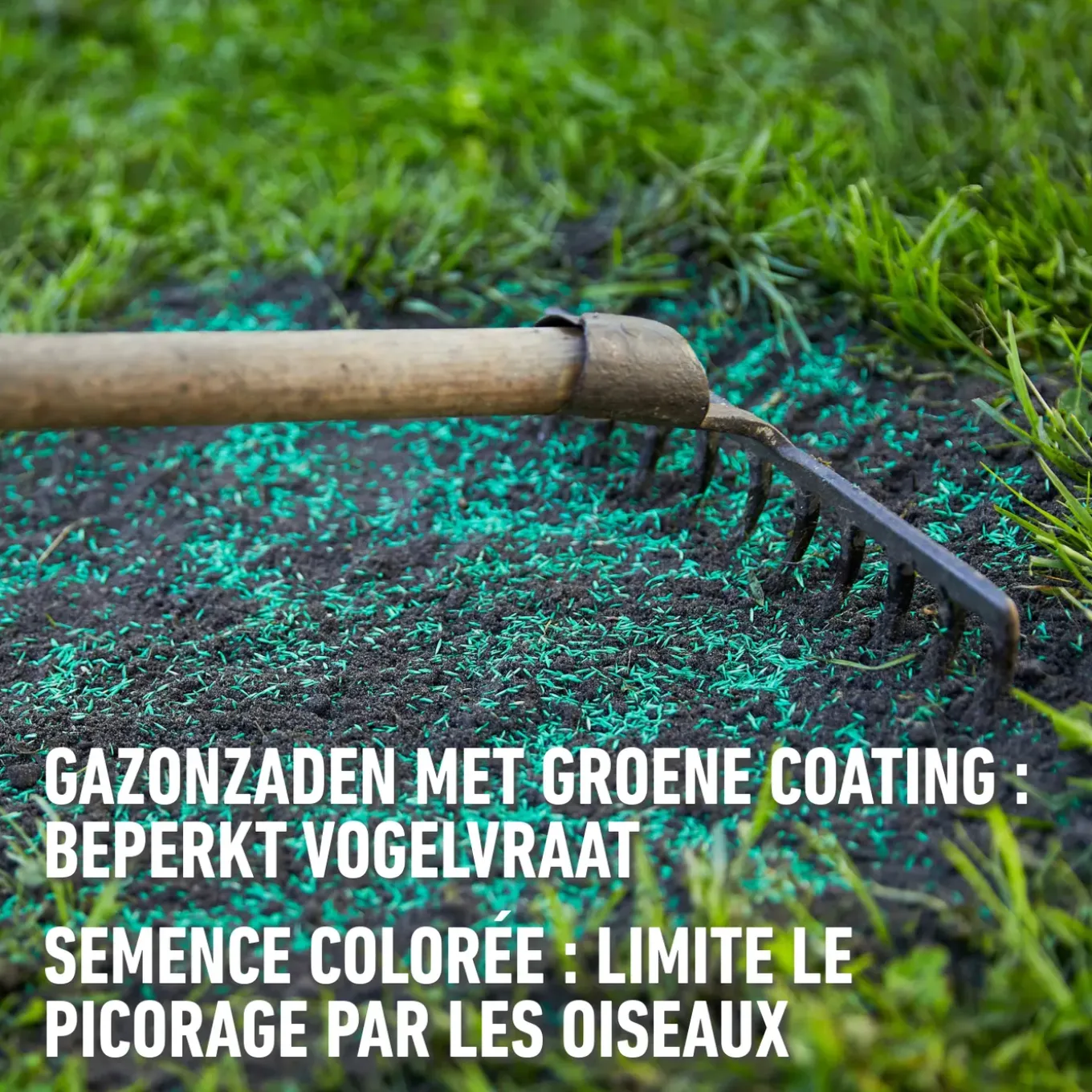 Compo gazonzaad Sport & Spel 25m² 500g